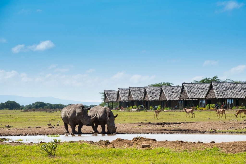 4 Days Ol Pejeta Wildlife Sanctuary & Samburu Tour