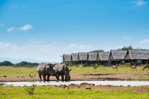 4 Days Ol Pejeta Wildlife Sanctuary & Samburu Tour
