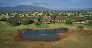 Kenya safari tours and adventures