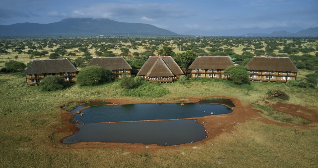 Kenya safari tours and adventures