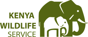 Kenya safari tours and adventures Coastal Kenya Safaris & Beach Tours