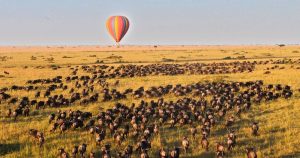 Maasai Mara hot air balloon safari