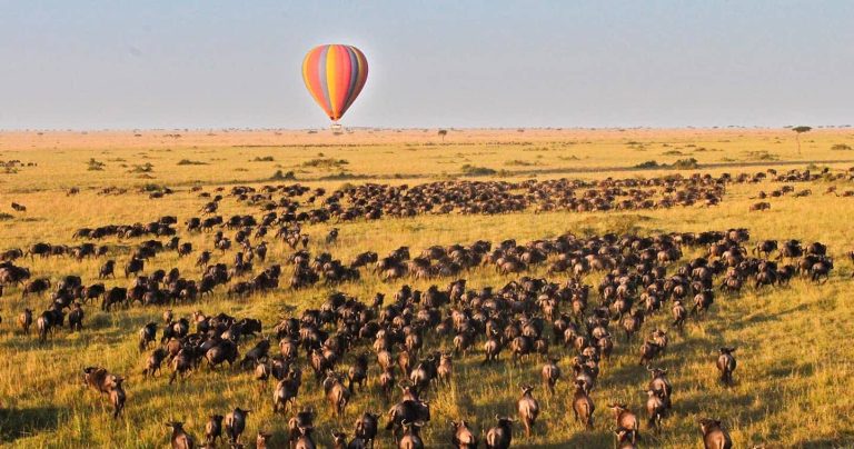 Maasai Mara hot air balloon safari