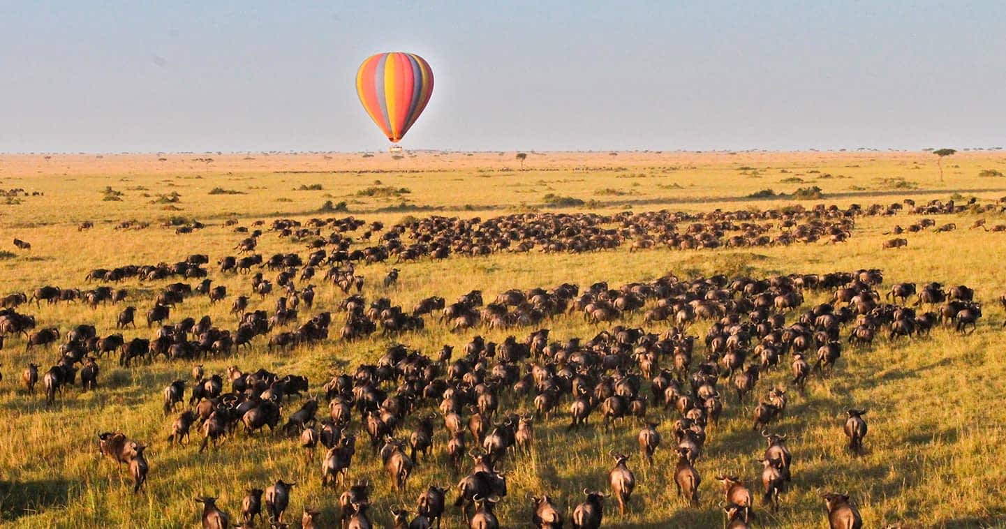 Maasai Mara hot air balloon safari