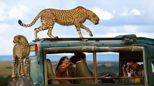 Kenya Safari Tour from Nairobi to Maasai Mara
