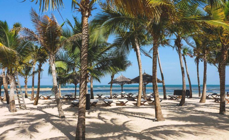 Malindi Coastal Safari Tours: Beaches and Wildlife in One Trip
