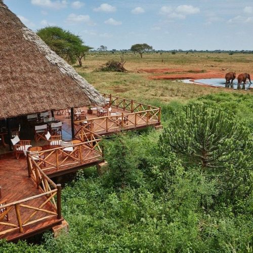2 Day Ngutuni Safari From Mombasa