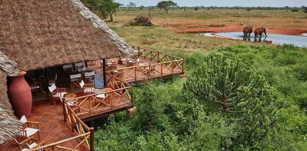 2 Day Ngutuni Safari From Mombasa
