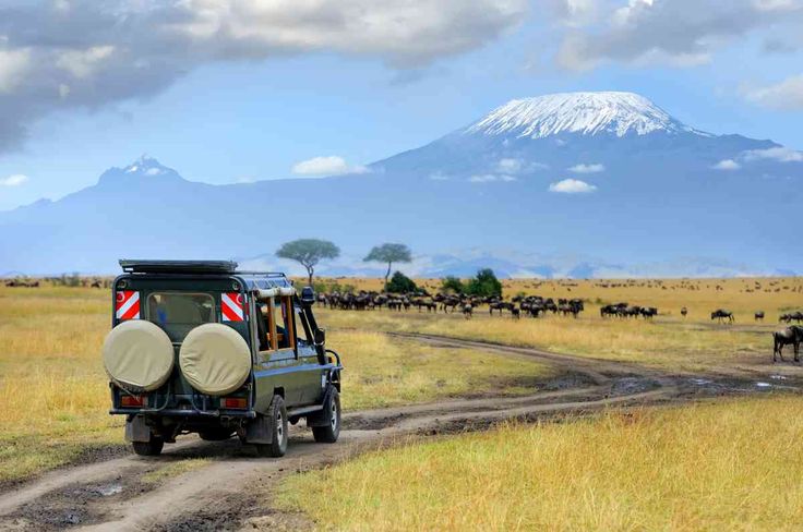 3 Day Amboseli and Tsavo West Safari From Diani Beach