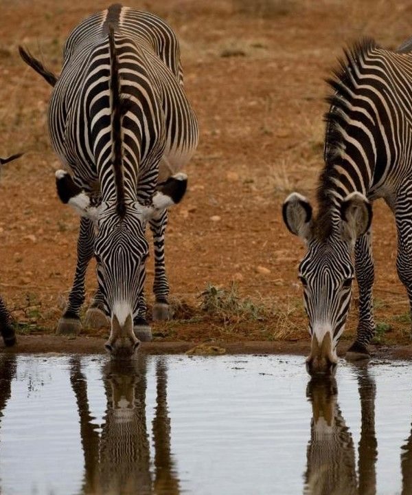 4 Day Tsavo East and Taita Hills Safari From Mombasa