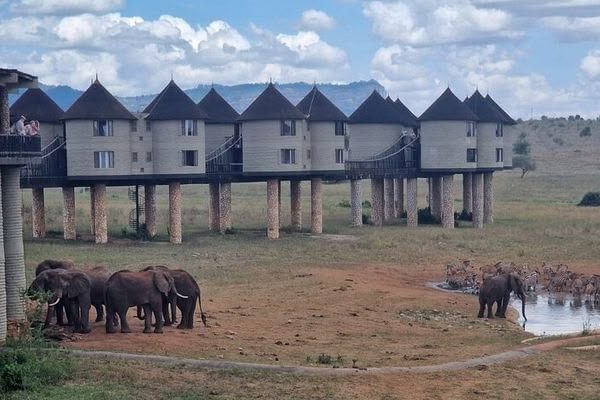 4 day Tsavo East Amboseli Taita Hills safari from Diani Beach