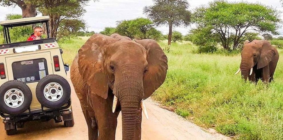 4 day safari from Diani Beach to Tsavo and Amboseli