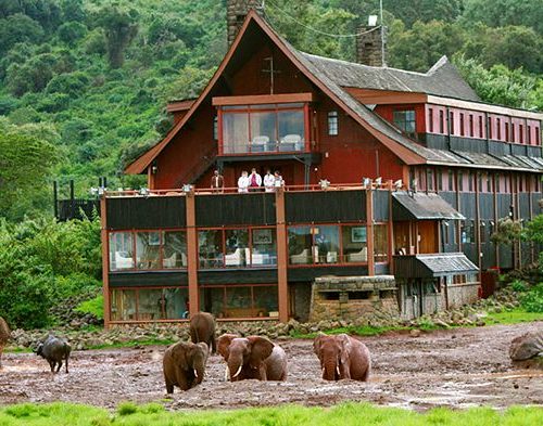 5 Day Aberdare, Lake Nakuru & Masai Mara Safari From Nairobi
