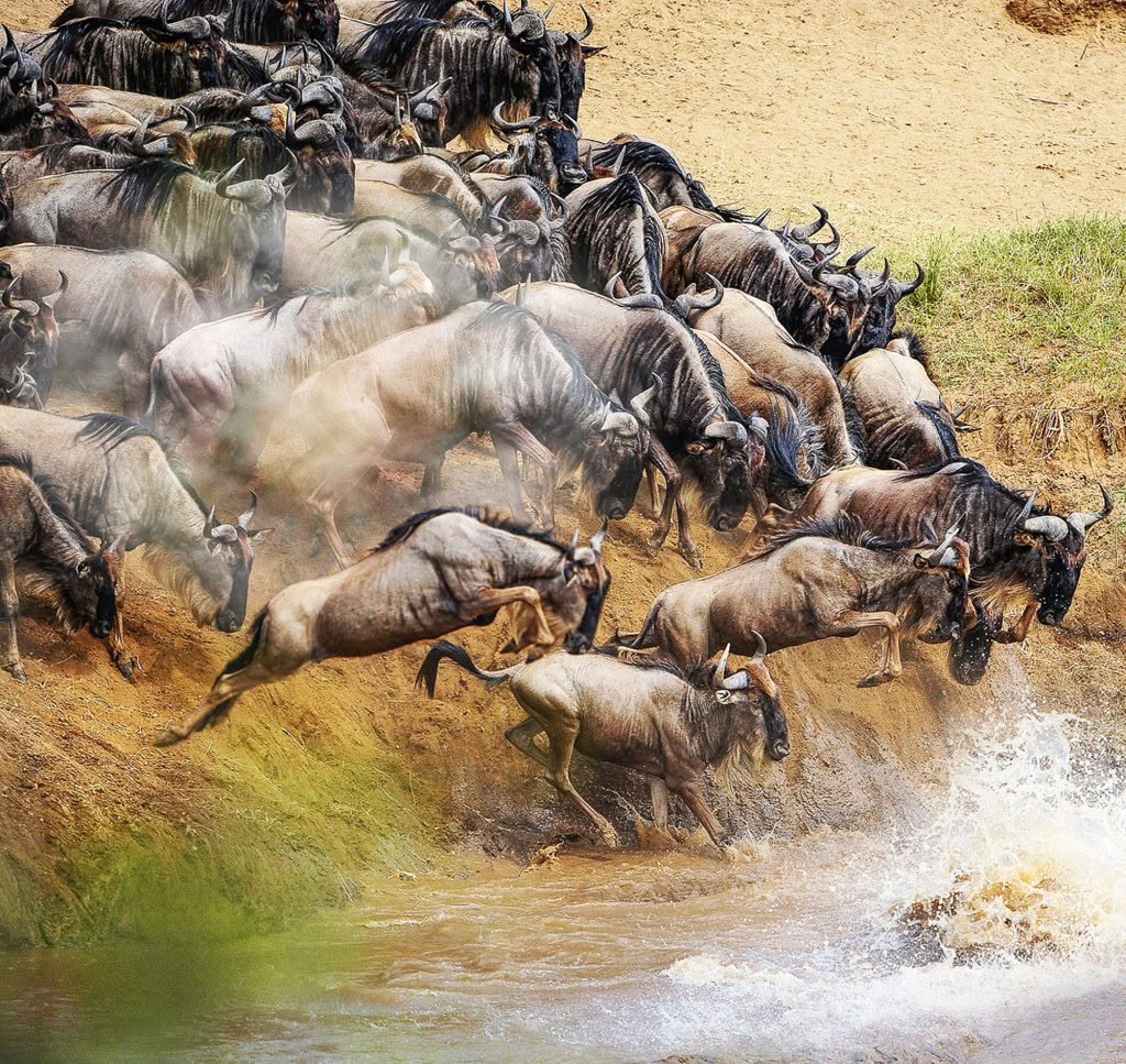 Kenya Safari Packages with Gordtrip Voyage Travellers