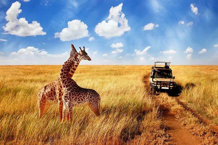 5 Day Ol Pejeta, Lake Naivasha & Masai Mara Safari From Nairobi