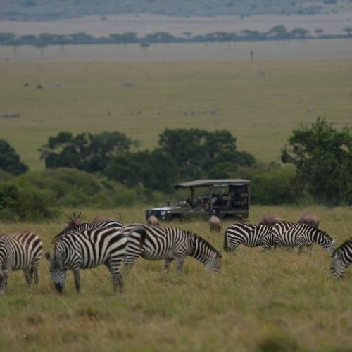 5 day Kenya private wildlife safari from Mombasa