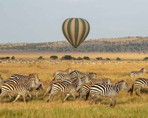 5 day wildlife safari Aberdare Lake Nakuru Masai Mara
