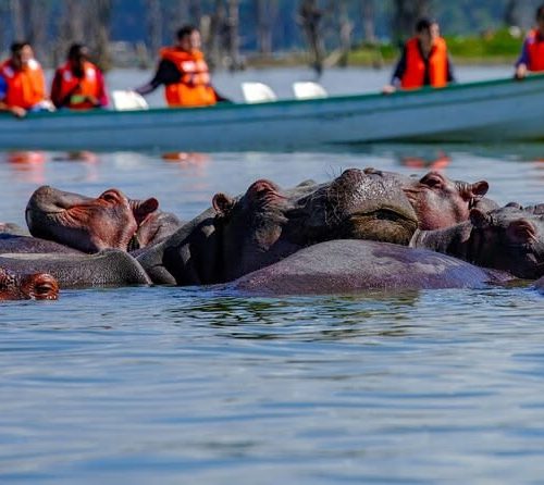 5 day wildlife safari Ol Pejeta Naivasha Masai Mara