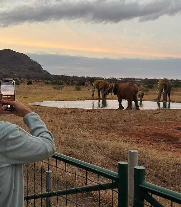 6 Day Amboseli, Tsavo West, Taita Hills and Tsavo East Safari From Mombasa