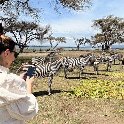 7 Day Kenya Family Safari From Nairobi – Amboseli, Naivasha, Nakuru and Masai Mara