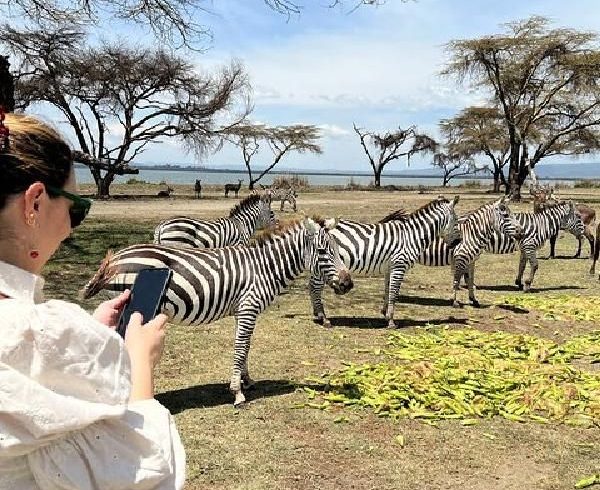 7 Day Kenya Family Safari From Nairobi – Amboseli, Naivasha, Nakuru and Masai Mara