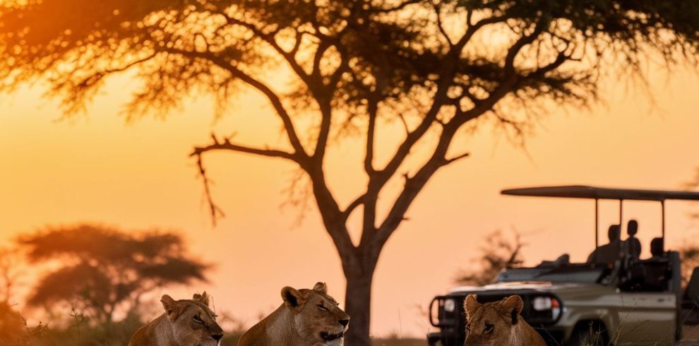 8 Day Kenya Classic Safari From Nairobi – Samburu, Ol Pejeta, Lake Nakuru, Naivasha and Masai Mara