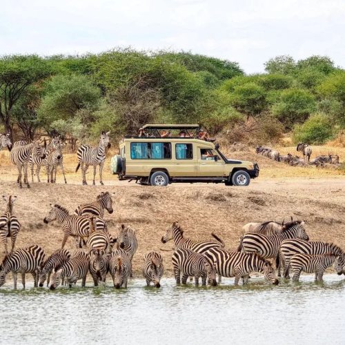 8 Day Masai Mara, Lake Nakuru, Amboseli and Diani Beach Safari Holiday