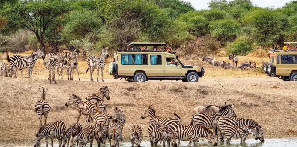 8 Day Masai Mara, Lake Nakuru, Amboseli and Diani Beach Safari Holiday