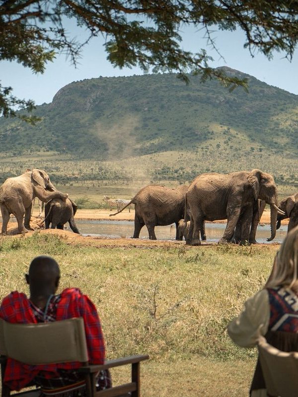 8 day Kenya safari from Nairobi to Samburu and Masai Mara