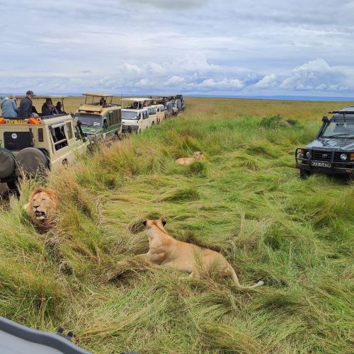 9 Day Kenya Safari From Nairobi – Tsavo, Amboseli, Naivasha, Nakuru & Masai Mara
