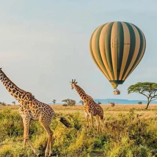 9 day Kenya safari and Diani Beach holiday