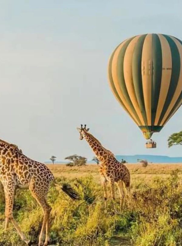9 day Kenya safari and Diani Beach holiday