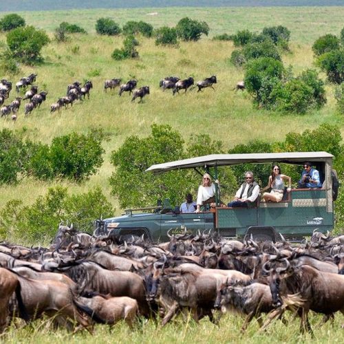 9 day Kenya wildlife safari from Nairobi to Masai Mara