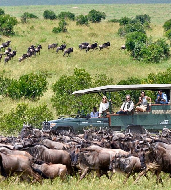 9 day Kenya wildlife safari from Nairobi to Masai Mara