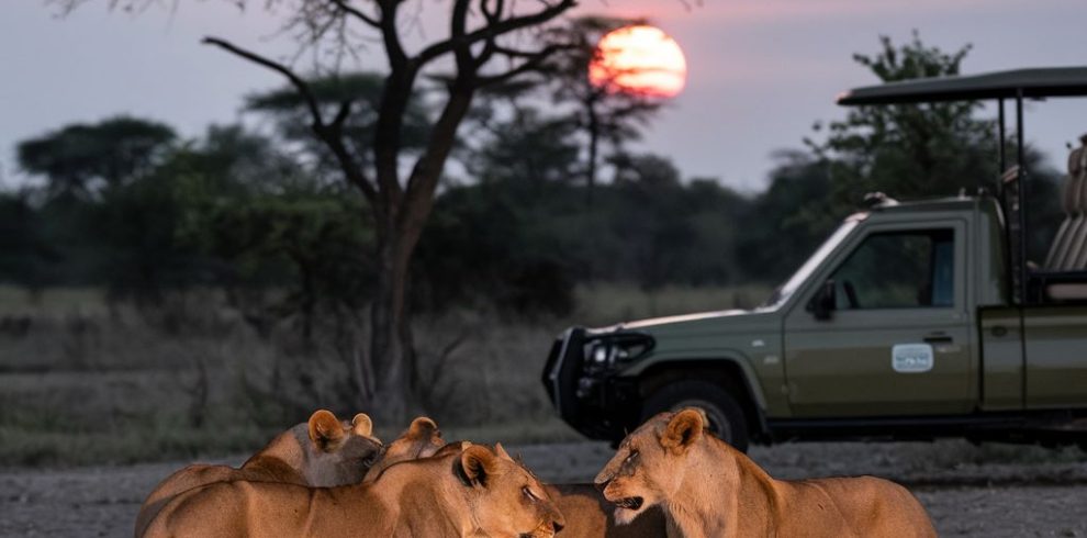 Diani Beach to Amboseli and Tsavo East safari