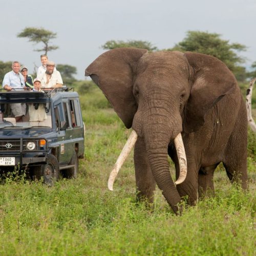 Kenya family safari from Mombasa with Taita Hills
