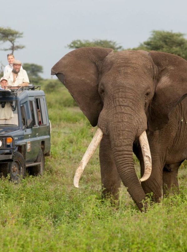 Kenya family safari from Mombasa with Taita Hills