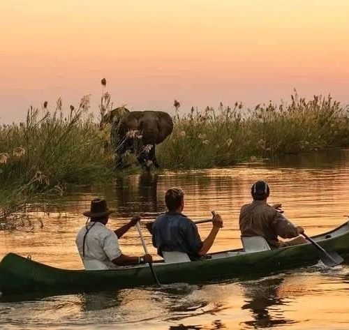 Kenya safari itinerary with Samburu Ol Pejeta Nakuru Naivasha and Masai Mara