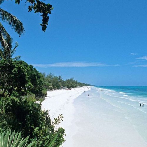 Kenya wildlife safari with Diani Beach stay from Nairobi