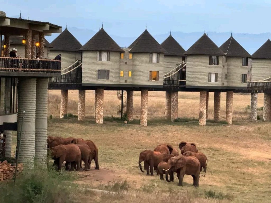 Kenya wildlife safari with Mombasa beach holiday