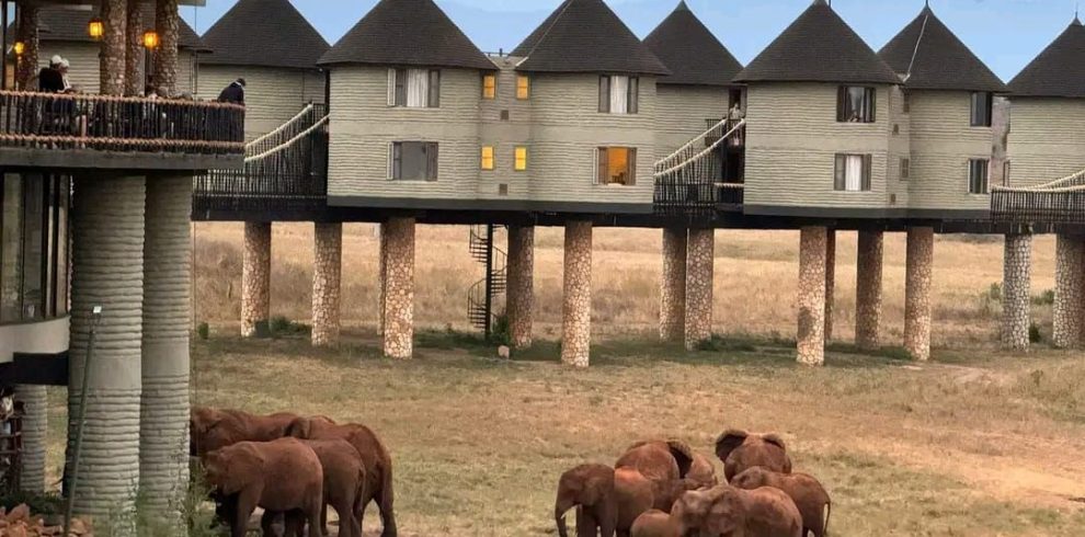 Kenya wildlife safari with Mombasa beach holiday