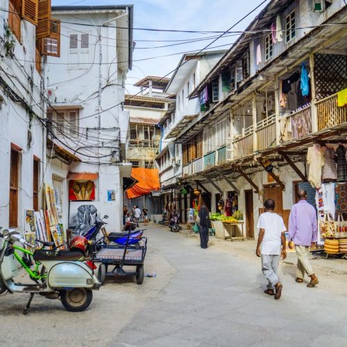 Mombasa city heritage and wildlife tour in one day mombasa old town