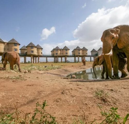 Mombasa safari to Tsavo East and Taita Hills Wildlife Sanctuary