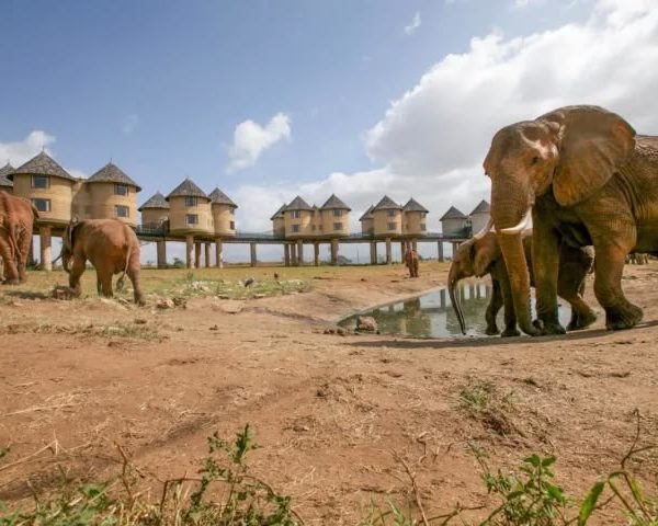 Mombasa safari to Tsavo East and Taita Hills Wildlife Sanctuary