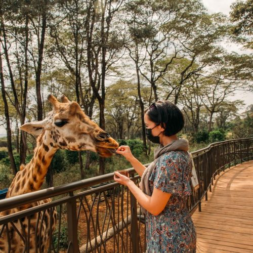Nairobi National Park Giraffe Centre Karen Blixen day tour