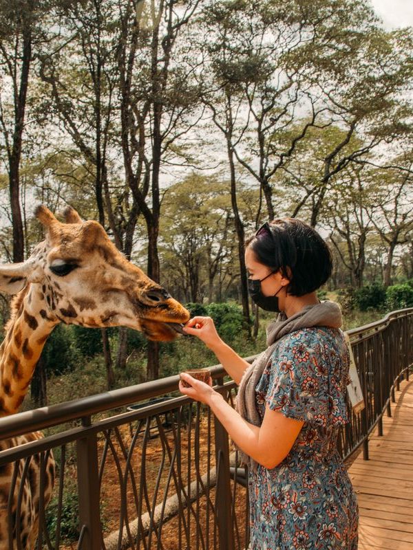 Nairobi National Park Giraffe Centre Karen Blixen day tour
