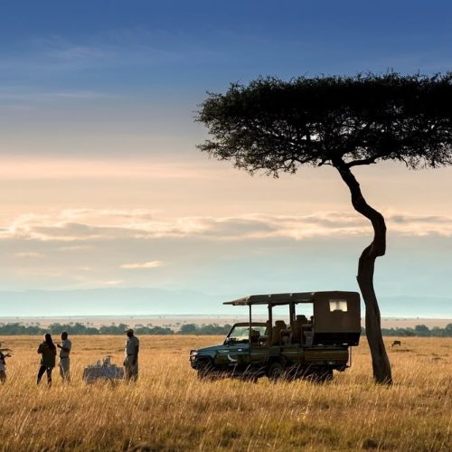 Samburu Ol Pejeta Lake Nakuru Naivasha Masai Mara safari