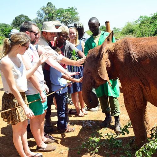 best Kenya safari for families with children from Nairobi