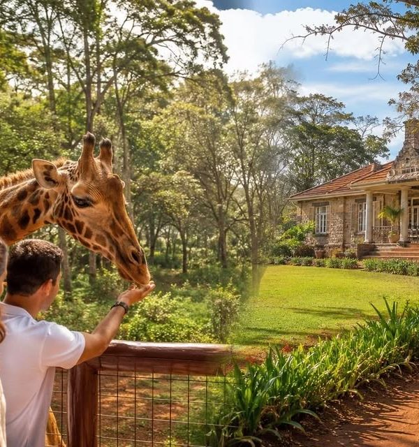 full day Nairobi wildlife and cultural tour
