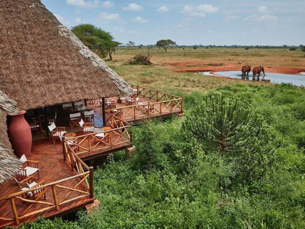 2 Day Ngutuni Safari From Mombasa